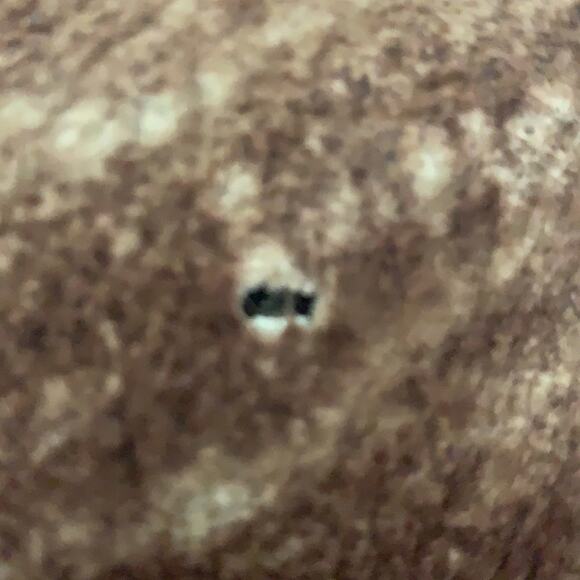 VINTAGE GINO BROWN‎ LEATHER SHEEPSKIN SHERLING COAT SIZE 12 - Picture 3 of 11